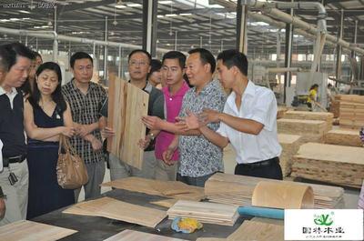 樂山國(guó)林家居用品招聘信息_公司前景_規(guī)模_待遇怎么樣