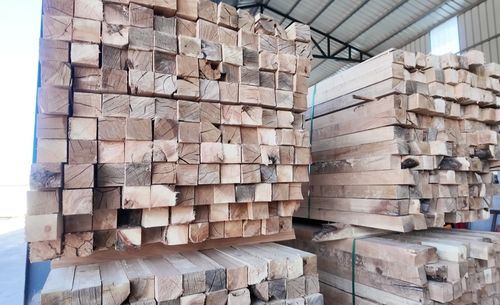 投資億元，新源添新綠——新疆新源縣現代化木材加工廠正式投產，引領木業高質量發展